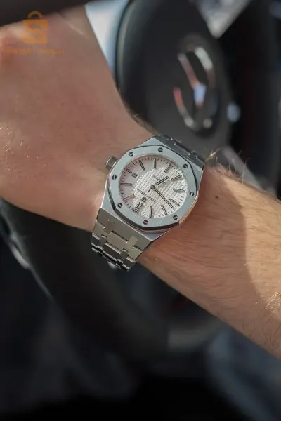 Didun Watch Designed in GermanyMechanic & WaterproofStainless Steel
