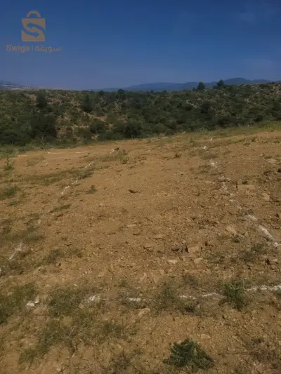 terrain du construction 150 m² blida