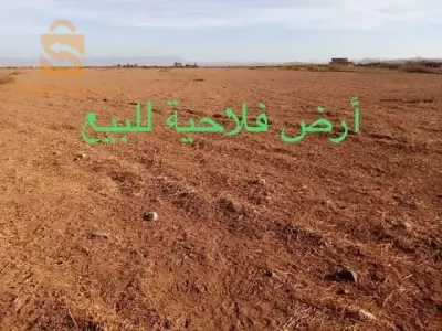أرض فلاحية للبيع