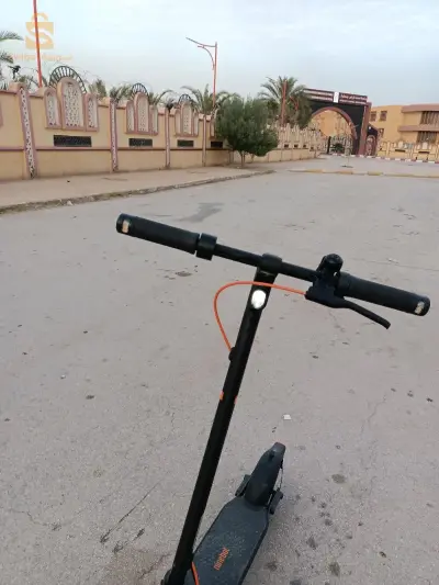 سكونر