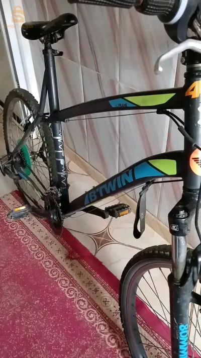 ولاية شلف