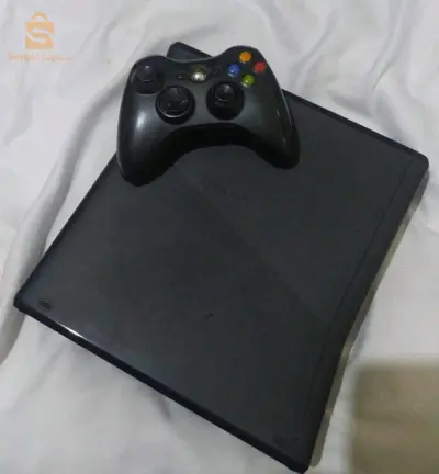 المدية
