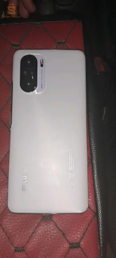 المدية