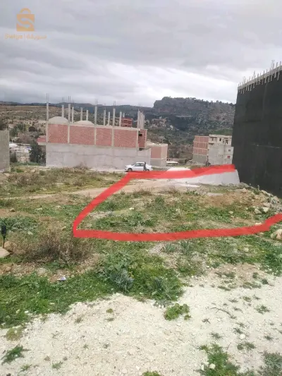 أرض بن سويسي المنية قسنطينة
