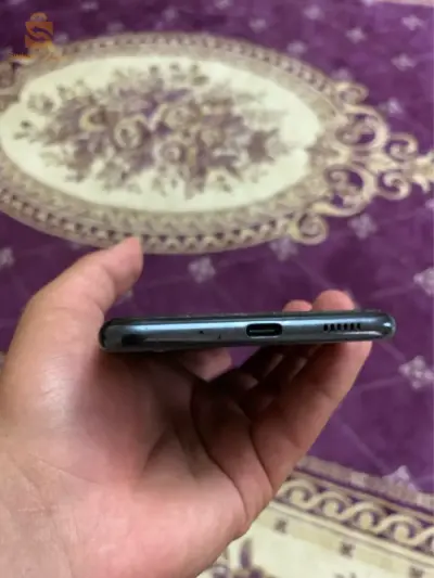 المدية