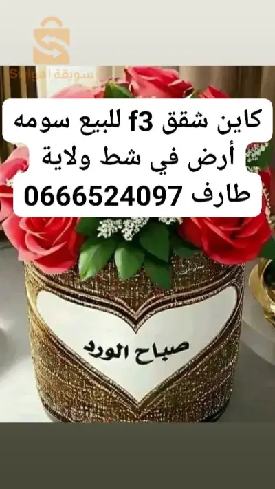 وسيط عقاري شط ولاية طارف