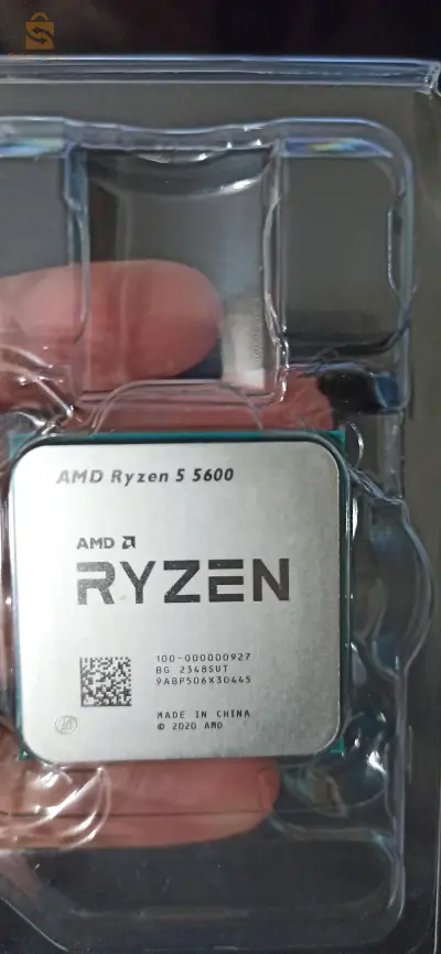 معالج R5 5600