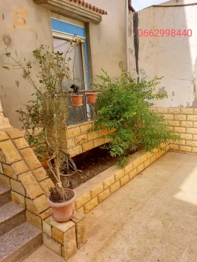 بلدية ستدية