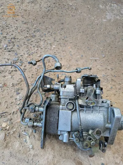 بني سليمان