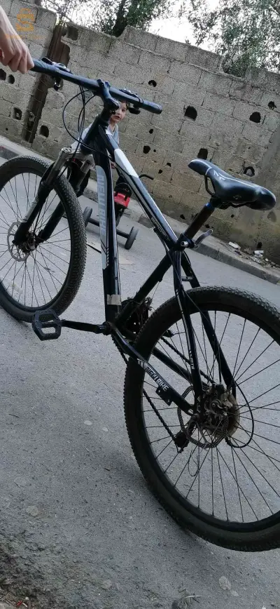 vilo 26
