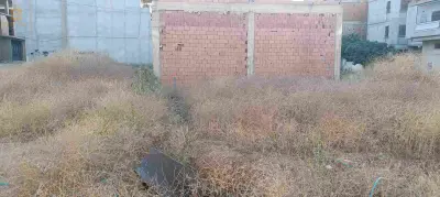 تراب للبيع