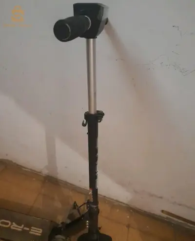 طروتينات