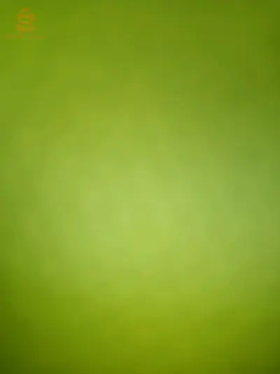 دراع البارود مقابل الطريق الرئيسي