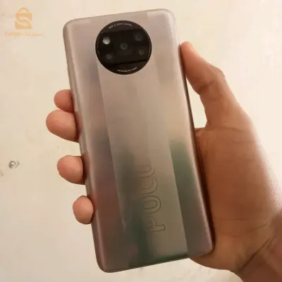 بلبل