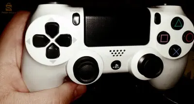 manate ps4 fact