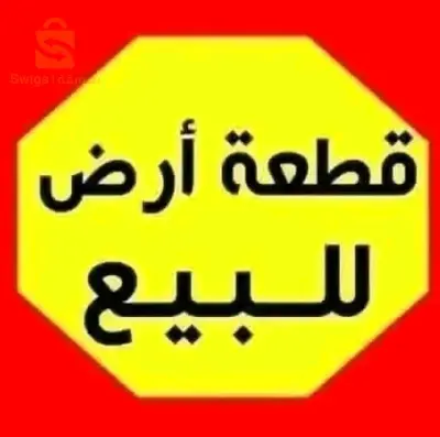 ارض فلاحية للبيع