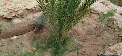 بيع ارض