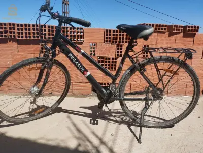 +213665387277