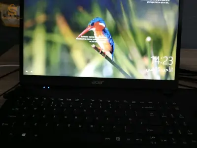 acer