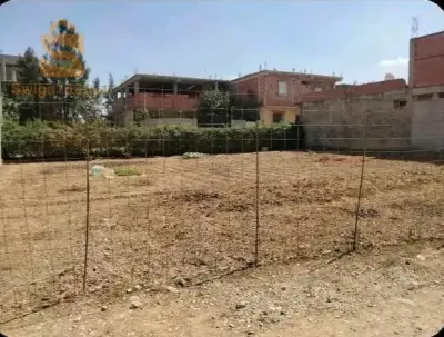 بيع