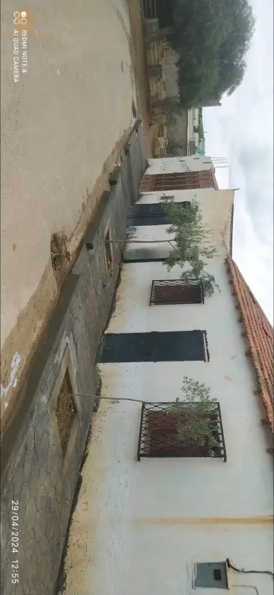 بلدية وادي الصباح