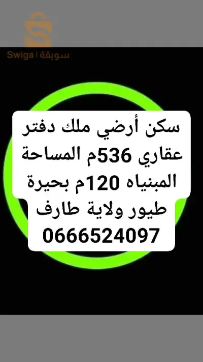 حي 800س شط