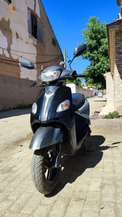 سلام عليكم 
joci 2019 
cart griz 
num : 0783321317
📍tipaza .hadjout