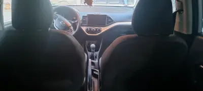 الكاليتوس