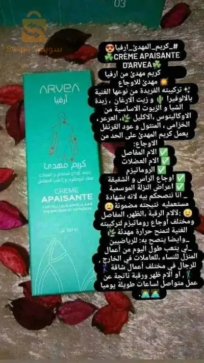 المدية