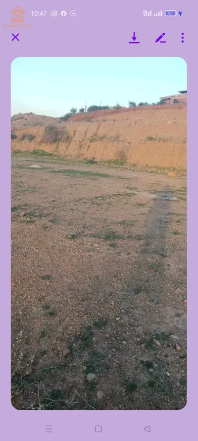 ارض للبيع