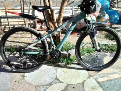 Rockraydar btwin