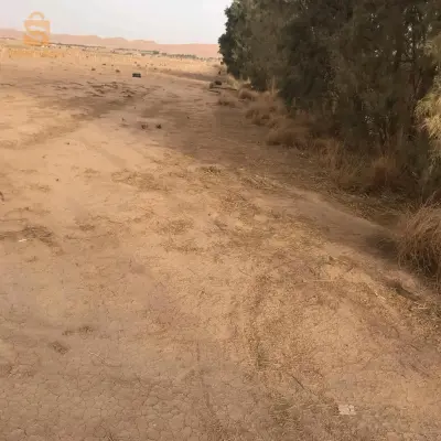 مزرعه فلاحية متواجدة خلف الحديقة النباتية المريقة الاغواط