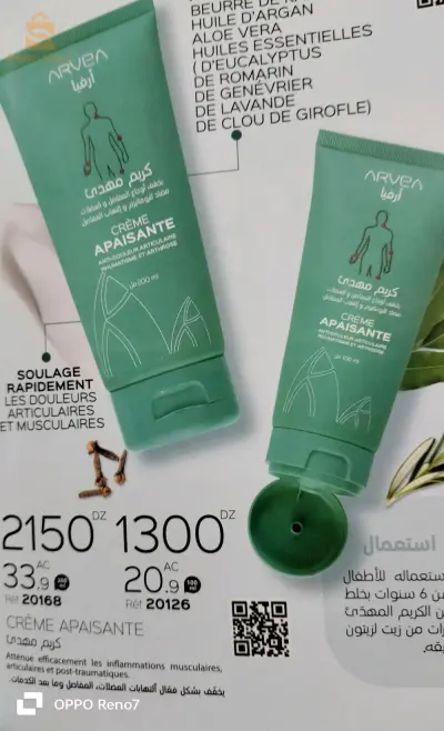 الدار البيضاء الجزائر