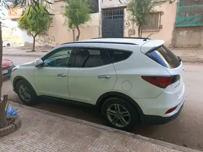 hyundai santafee 2017