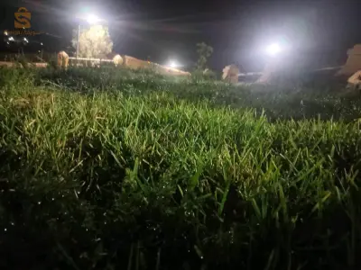 الأغواط