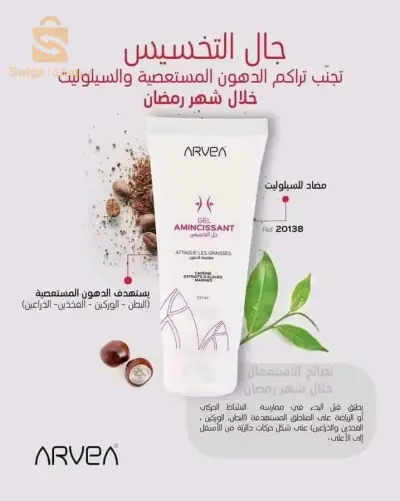 المدية