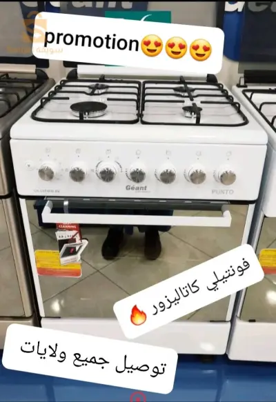 كويزنيار جيون فونيتلي كاتاليزور