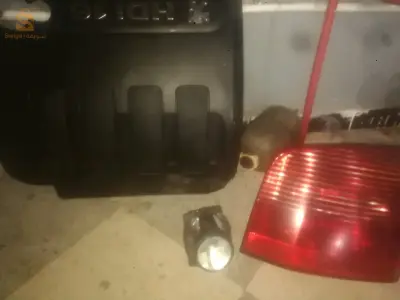 ام البواقي