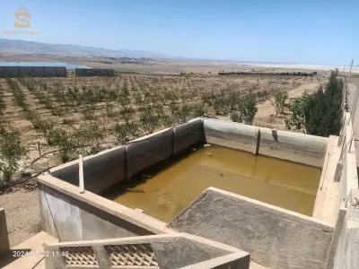 فيرمة في وهران الكرمة