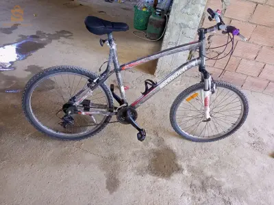 rokrader RR