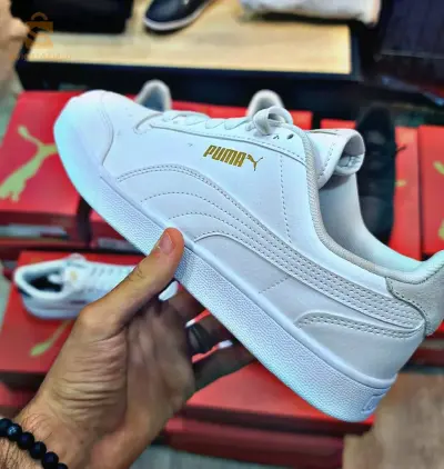 Basket puma