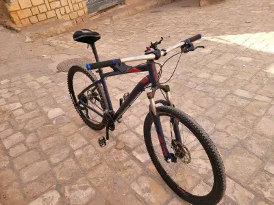 غردية