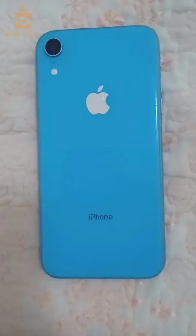 iPhone XR
