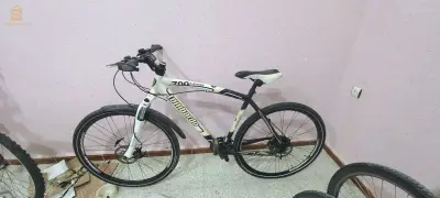 رحوية ولاية تيارت