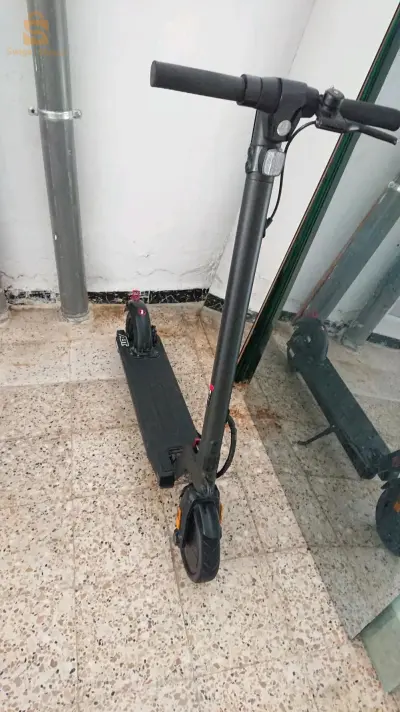تيسمسيلت
