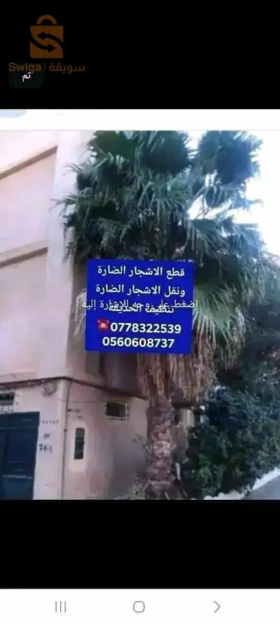 قطع الاشجار الضارة