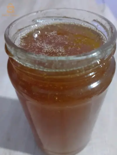 عسل جبلي حر