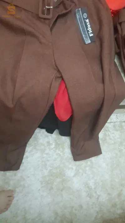 تنس الشلف