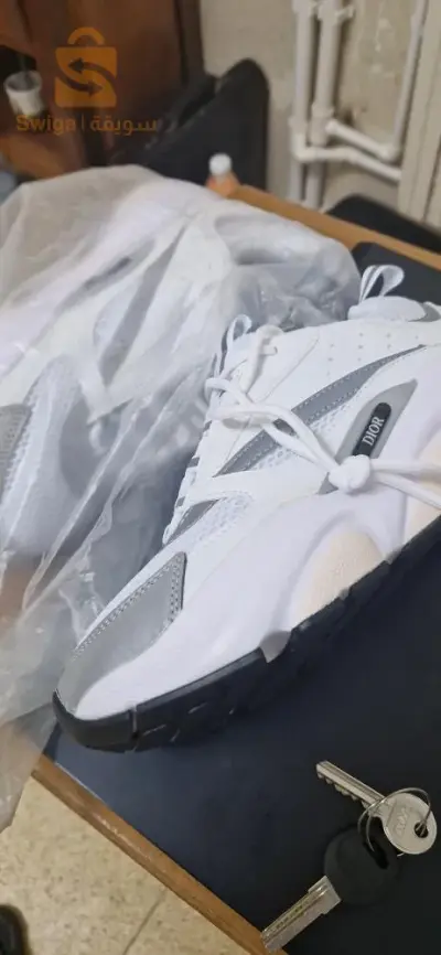 dior B22