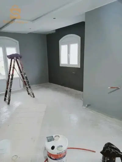 Peindre des maisons avec des décorations modernes (satin + décor)